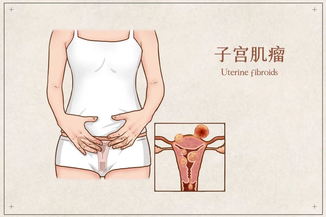 微信圖片_20221019144829.jpg
