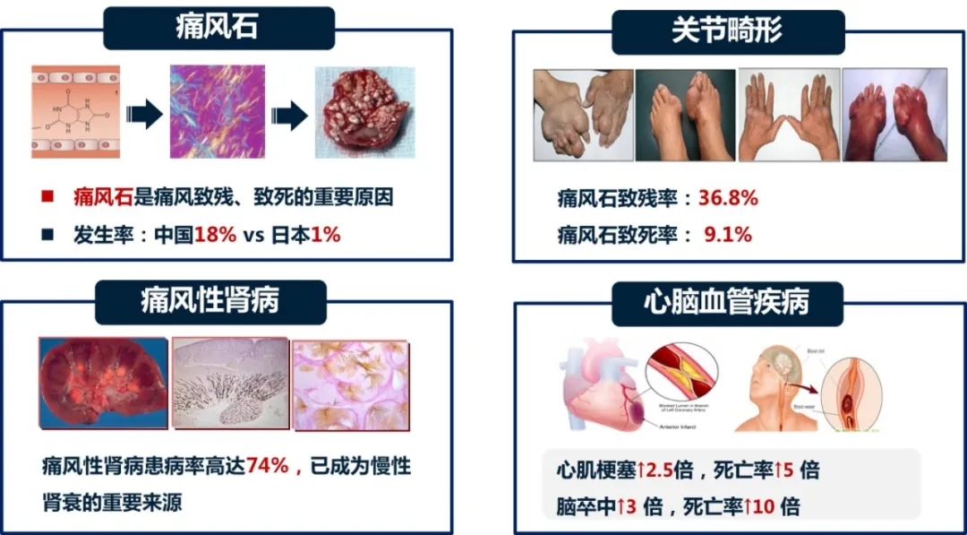 微信圖片_20250414083112.png